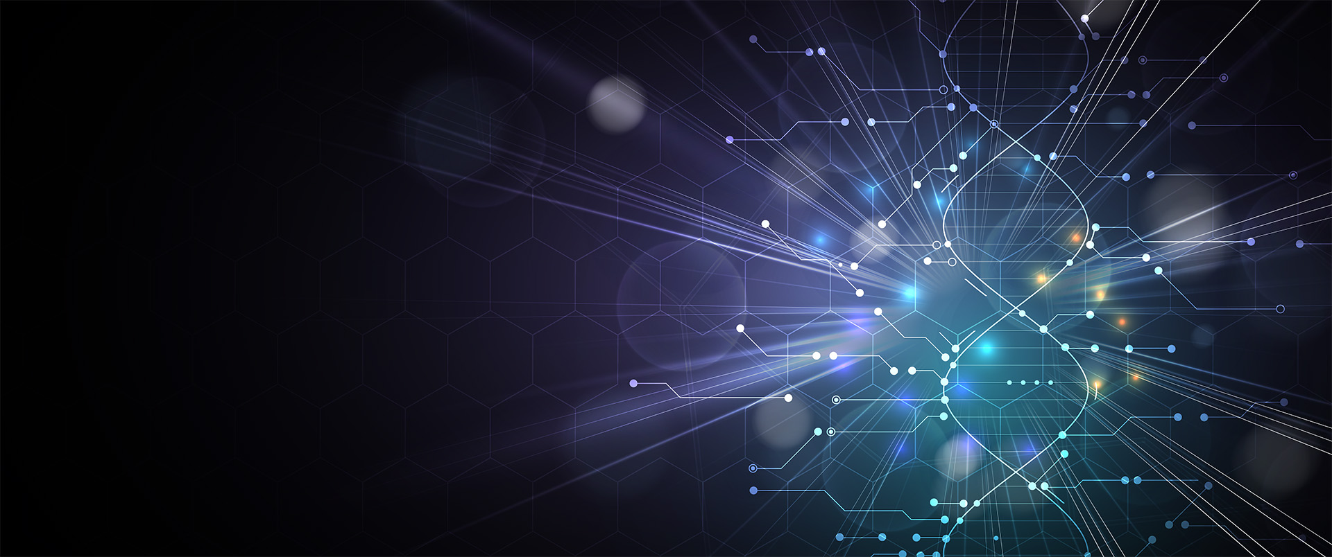 All Data and insights